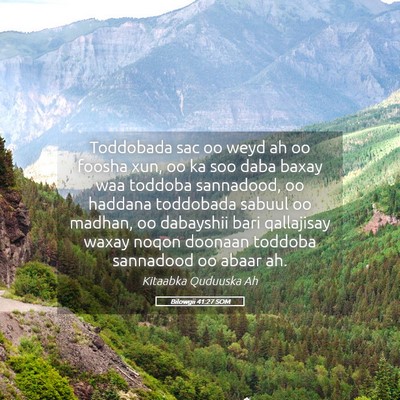 Picture 05 - Bilowgii 41:27 SOM - Toddobada sac oo weyd ah oo foosha xun, oo ka soo - Bible Verse Picture