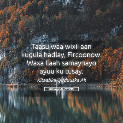 Picture 05 - Bilowgii 41:28 SOM - Taasu waa wixii aan kugula hadlay, Fircoonow. - Bible Verse Picture