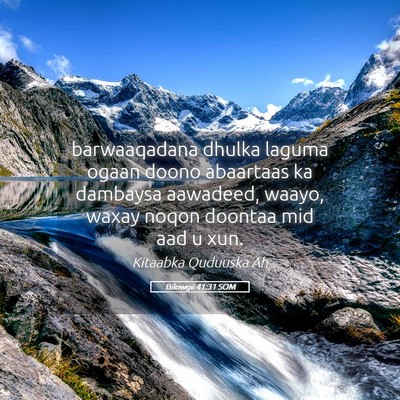 Picture 05 - Bilowgii 41:31 SOM - barwaaqadana dhulka laguma ogaan doono abaartaas - Bible Verse Picture