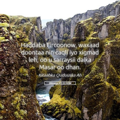 Picture 05 - Bilowgii 41:33 SOM - Haddaba Fircoonow, waxaad doontaa nin caqli iyo - Bible Verse Picture