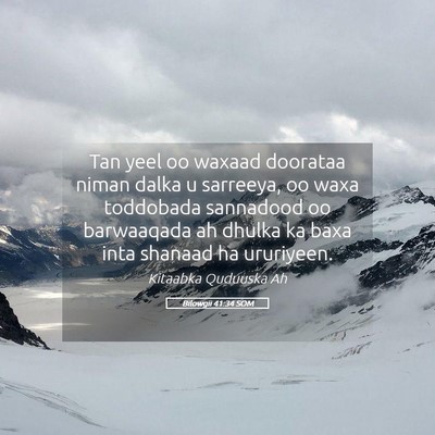 Picture 05 - Bilowgii 41:34 SOM - Tan yeel oo waxaad doorataa niman dalka u - Bible Verse Picture