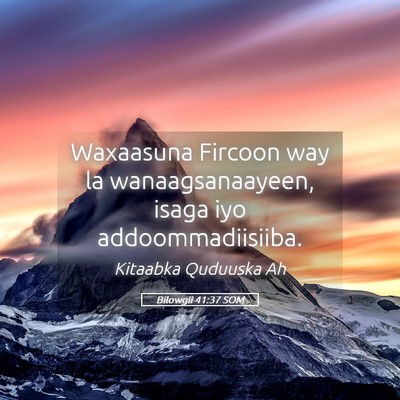 Picture 05 - Bilowgii 41:37 SOM - Waxaasuna Fircoon way la wanaagsanaayeen, isaga - Bible Verse Picture