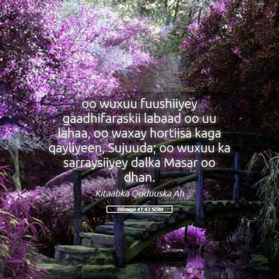 Picture 05 - Bilowgii 41:43 SOM - oo wuxuu fuushiiyey gaadhifaraskii labaad oo uu - Bible Verse Picture