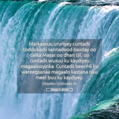 Picture 05 - Bilowgii 41:48 SOM - Markaasuu ururiyey cuntadii toddobadii sannadood - Bible Verse Picture