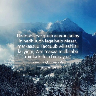 Picture 05 - Bilowgii 42:1 SOM - Haddaba Yacquub wuxuu arkay in hadhuudh laga helo - Bible Verse Picture