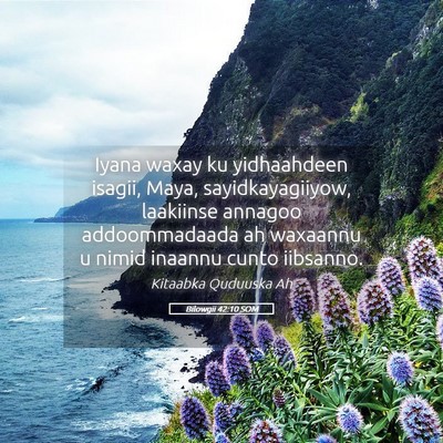 Picture 05 - Bilowgii 42:10 SOM - Iyana waxay ku yidhaahdeen isagii, Maya, - Bible Verse Picture