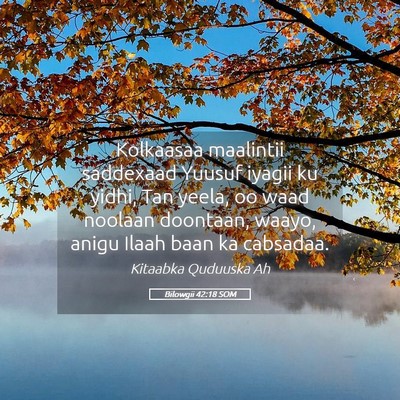 Picture 05 - Bilowgii 42:18 SOM - Kolkaasaa maalintii saddexaad Yuusuf iyagii ku - Bible Verse Picture