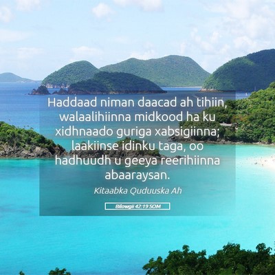 Picture 05 - Bilowgii 42:19 SOM - Haddaad niman daacad ah tihiin, walaalihiinna - Bible Verse Picture