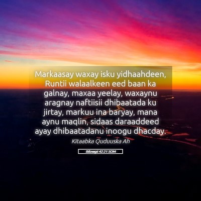 Picture 05 - Bilowgii 42:21 SOM - Markaasay waxay isku yidhaahdeen, Runtii - Bible Verse Picture