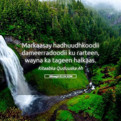Picture 05 - Bilowgii 42:26 SOM - Markaasay hadhuudhkoodii dameerradoodii ku - Bible Verse Picture
