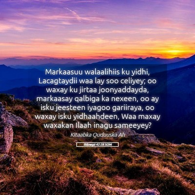 Picture 05 - Bilowgii 42:28 SOM - Markaasuu walaalihiis ku yidhi, Lacagtaydii waa - Bible Verse Picture