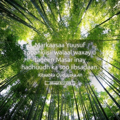Picture 05 - Bilowgii 42:3 SOM - Markaasaa Yuusuf tobankiisii walaal waxay u - Bible Verse Picture