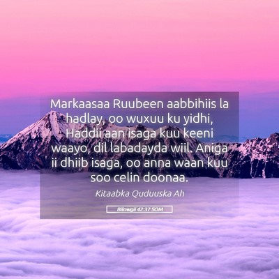 Picture 05 - Bilowgii 42:37 SOM - Markaasaa Ruubeen aabbihiis la hadlay, oo wuxuu - Bible Verse Picture