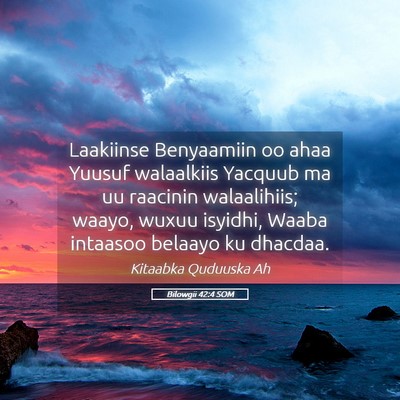 Picture 05 - Bilowgii 42:4 SOM - Laakiinse Benyaamiin oo ahaa Yuusuf walaalkiis - Bible Verse Picture