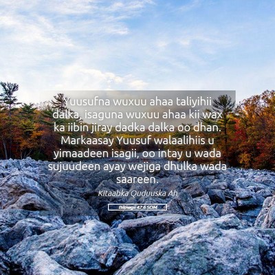Picture 05 - Bilowgii 42:6 SOM - Yuusufna wuxuu ahaa taliyihii dalka, isaguna - Bible Verse Picture