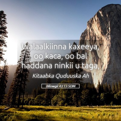 Picture 05 - Bilowgii 43:13 SOM - Walaalkiinna kaxeeya, oo kaca, oo bal haddana - Bible Verse Picture