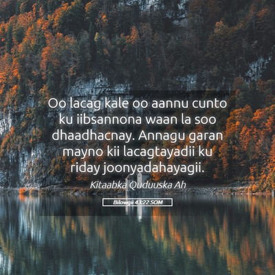 Picture 05 - Bilowgii 43:22 SOM - Oo lacag kale oo aannu cunto ku iibsannona waan - Bible Verse Picture