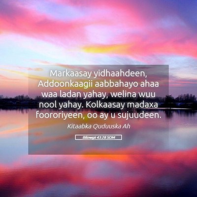 Picture 05 - Bilowgii 43:28 SOM - Markaasay yidhaahdeen, Addoonkaagii aabbahayo - Bible Verse Picture