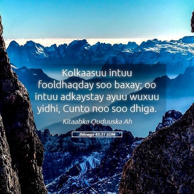 Picture 05 - Bilowgii 43:31 SOM - Kolkaasuu intuu fooldhaqday soo baxay; oo intuu - Bible Verse Picture
