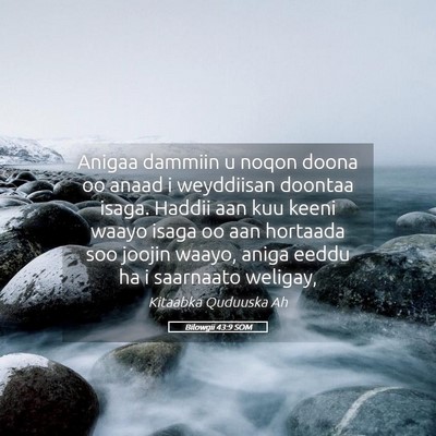 Picture 05 - Bilowgii 43:9 SOM - Anigaa dammiin u noqon doona oo anaad i - Bible Verse Picture