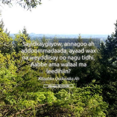 Picture 05 - Bilowgii 44:19 SOM - Sayidkaygiiyow, annagoo ah addoommadaada, ayaad - Bible Verse Picture