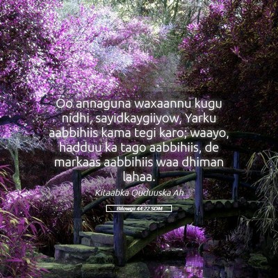 Picture 05 - Bilowgii 44:22 SOM - Oo annaguna waxaannu kugu nidhi, sayidkaygiiyow, - Bible Verse Picture