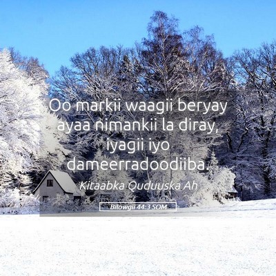 Picture 05 - Bilowgii 44:3 SOM - Oo markii waagii beryay ayaa nimankii la diray, - Bible Verse Picture