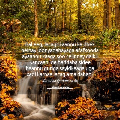 Picture 05 - Bilowgii 44:8 SOM - Bal eeg, lacagtii aannu ka dhex helnay - Bible Verse Picture