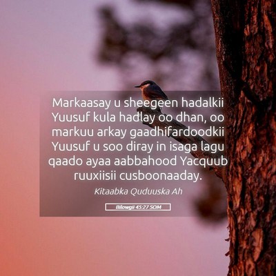 Picture 05 - Bilowgii 45:27 SOM - Markaasay u sheegeen hadalkii Yuusuf kula hadlay - Bible Verse Picture