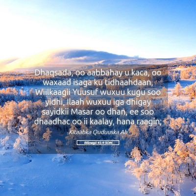 Picture 05 - Bilowgii 45:9 SOM - Dhaqsada, oo aabbahay u kaca, oo waxaad isaga ku - Bible Verse Picture