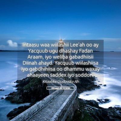 Picture 05 - Bilowgii 46:15 SOM - Intaasu waa wiilashii Lee'ah oo ay Yacquub ugu - Bible Verse Picture