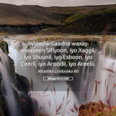 Picture 05 - Bilowgii 46:16 SOM - Wiilashii Gaadna waxay ahaayeen Sifiyoon, iyo - Bible Verse Picture