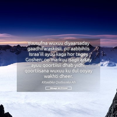 Picture 05 - Bilowgii 46:29 SOM - Yuusufna wuxuu diyaarsaday gaadhifaraskiisii, oo - Bible Verse Picture