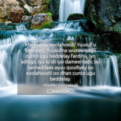 Picture 05 - Bilowgii 47:17 SOM - Markaasay xoolahoodii Yuusuf u keeneen, Yuusufna - Bible Verse Picture