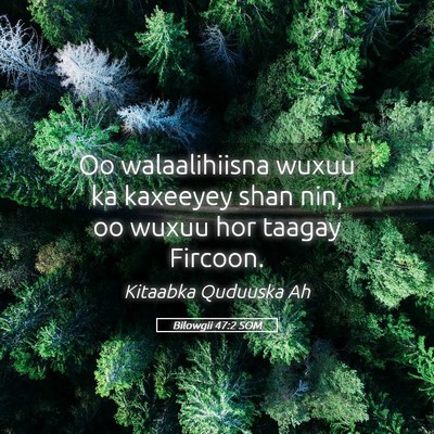 Picture 05 - Bilowgii 47:2 SOM - Oo walaalihiisna wuxuu ka kaxeeyey shan nin, oo - Bible Verse Picture