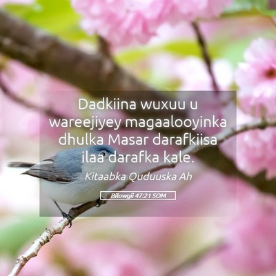 Picture 05 - Bilowgii 47:21 SOM - Dadkiina wuxuu u wareejiyey magaalooyinka dhulka - Bible Verse Picture