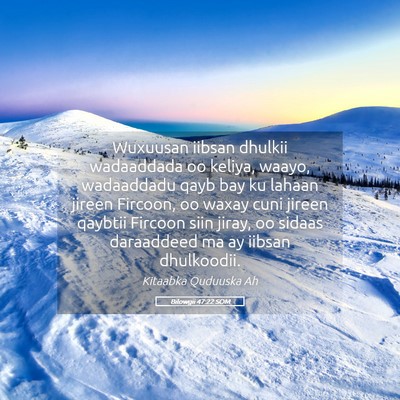 Picture 05 - Bilowgii 47:22 SOM - Wuxuusan iibsan dhulkii wadaaddada oo keliya, - Bible Verse Picture