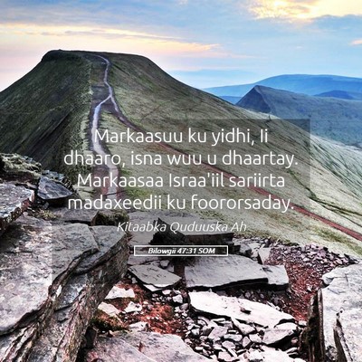 Picture 05 - Bilowgii 47:31 SOM - Markaasuu ku yidhi, Ii dhaaro, isna wuu u - Bible Verse Picture