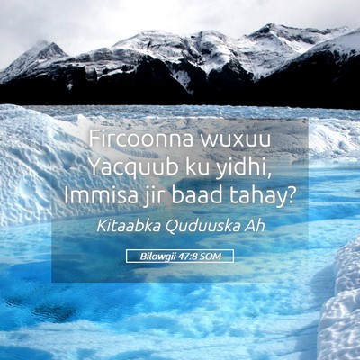 Picture 05 - Bilowgii 47:8 SOM - Fircoonna wuxuu Yacquub ku yidhi, Immisa jir baad - Bible Verse Picture