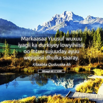 Picture 05 - Bilowgii 48:12 SOM - Markaasaa Yuusuf wuxuu iyagii ka durkiyey - Bible Verse Picture