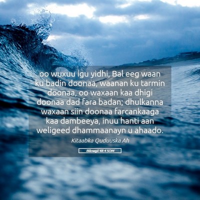 Picture 05 - Bilowgii 48:4 SOM - oo wuxuu igu yidhi, Bal eeg waan ku badin doonaa, - Bible Verse Picture