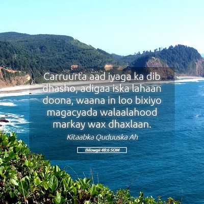 Picture 05 - Bilowgii 48:6 SOM - Carruurta aad iyaga ka dib dhasho, adigaa iska - Bible Verse Picture