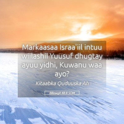 Picture 05 - Bilowgii 48:8 SOM - Markaasaa Israa'iil intuu wiilashii Yuusuf - Bible Verse Picture