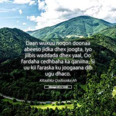 Picture 05 - Bilowgii 49:17 SOM - Daan wuxuu noqon doonaa abeeso jidka dhex joogta, - Bible Verse Picture