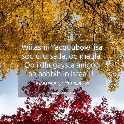 Picture 05 - Bilowgii 49:2 SOM - Wiilashii Yacquubow, isa soo urursada, oo maqla, - Bible Verse Picture