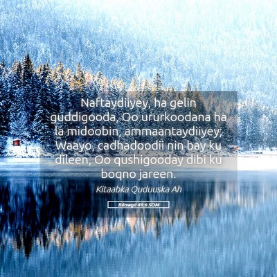 Picture 05 - Bilowgii 49:6 SOM - Naftaydiiyey, ha gelin guddigooda, Oo ururkoodana - Bible Verse Picture