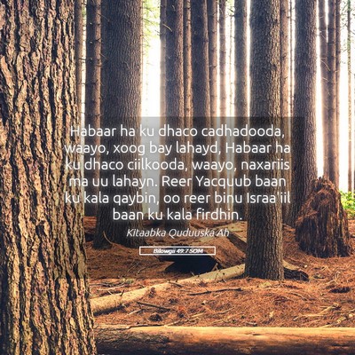Picture 05 - Bilowgii 49:7 SOM - Habaar ha ku dhaco cadhadooda, waayo, xoog bay - Bible Verse Picture