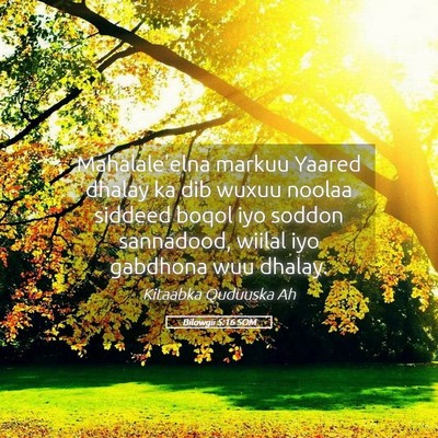 Picture 05 - Bilowgii 5:16 SOM - Mahalale'elna markuu Yaared dhalay ka dib wuxuu - Bible Verse Picture