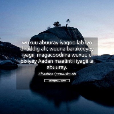 Picture 05 - Bilowgii 5:2 SOM - wuxuu abuuray iyagoo lab iyo dhaddig ah; wuuna - Bible Verse Picture