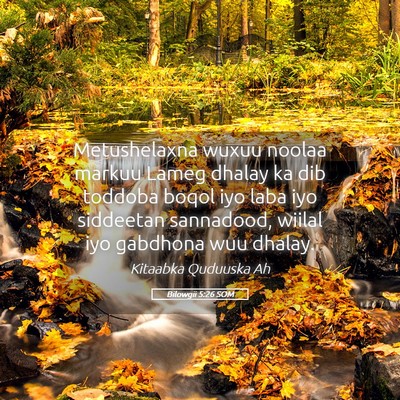 Picture 05 - Bilowgii 5:26 SOM - Metushelaxna wuxuu noolaa markuu Lameg dhalay ka - Bible Verse Picture